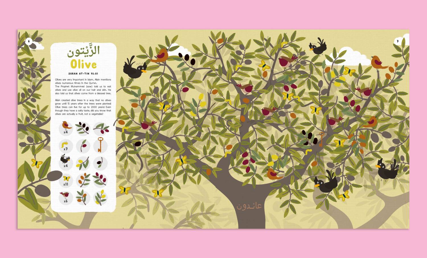 İngilizce Kur'an'daki Bitkiler Ara&Bul, (Plants in the Qur’an), Jenny Molendyk Divleli - 3