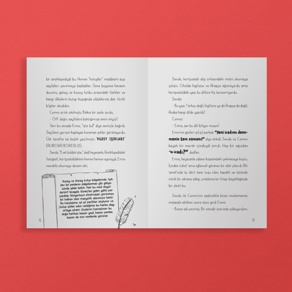 Kuzey Işıkları Operasyonu - 3