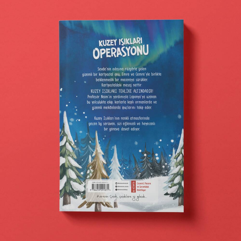 Kuzey Işıkları Operasyonu - 4